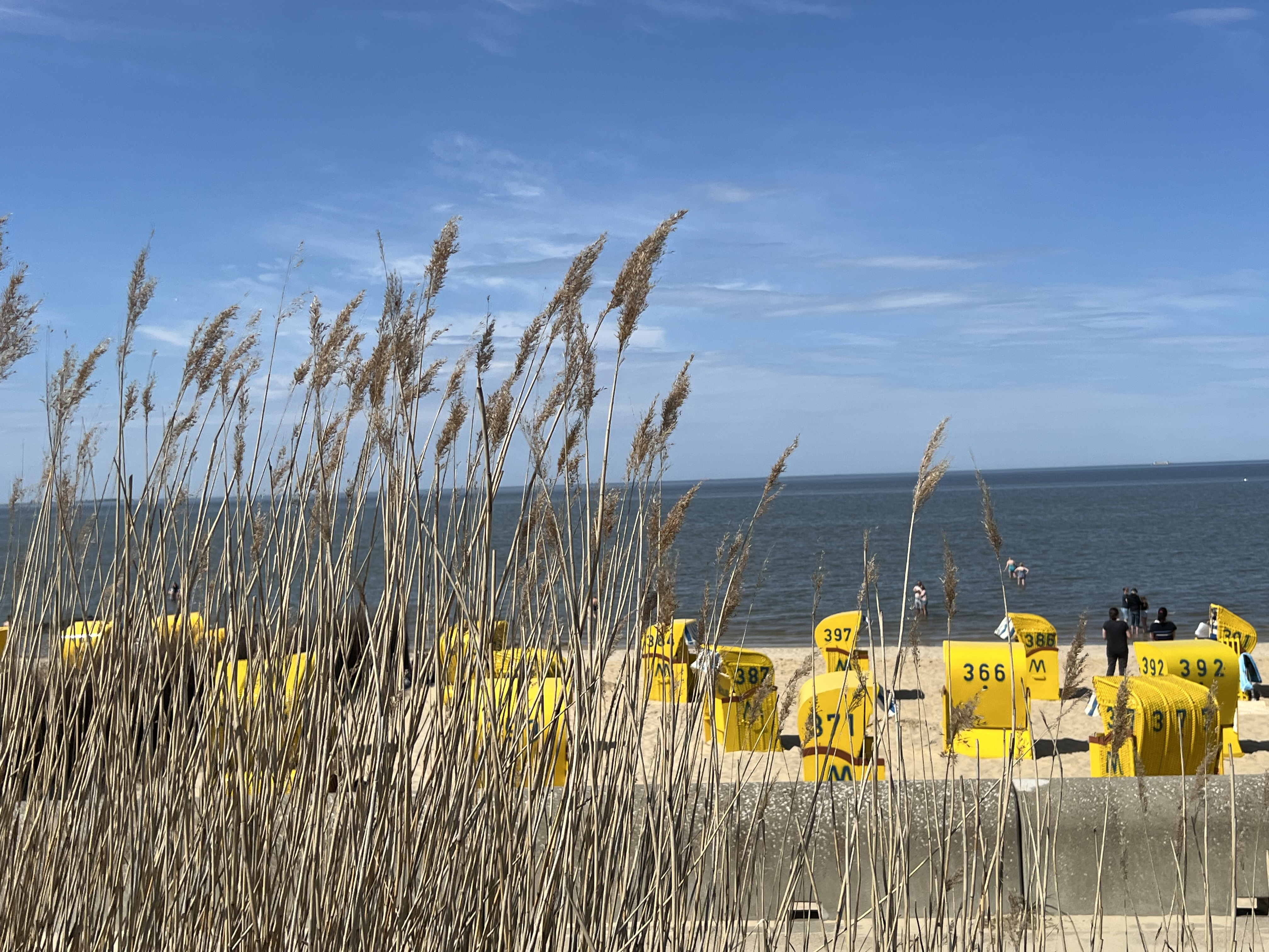 Strandkörbe und Dünengras an der Nordsee in Duhnen